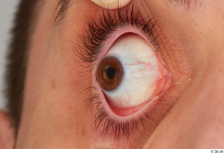 HD Eyes Shawn Jacobs eye eye texture eyelash iris pupil…